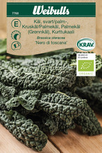 Frö Svartkål 'Nero di Toscana' KRAV Weibulls 